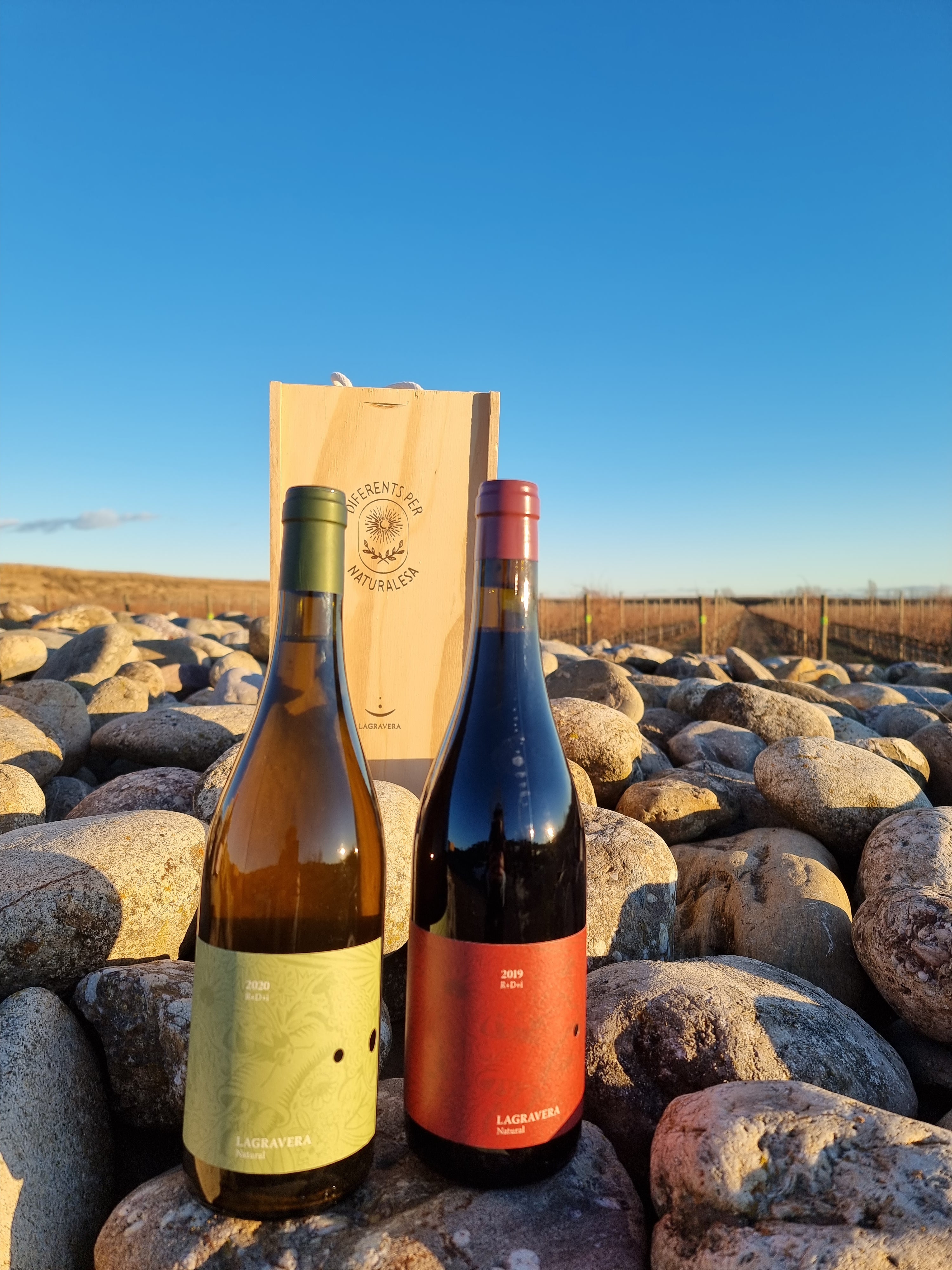 Pack Lagravera natural con caja madera