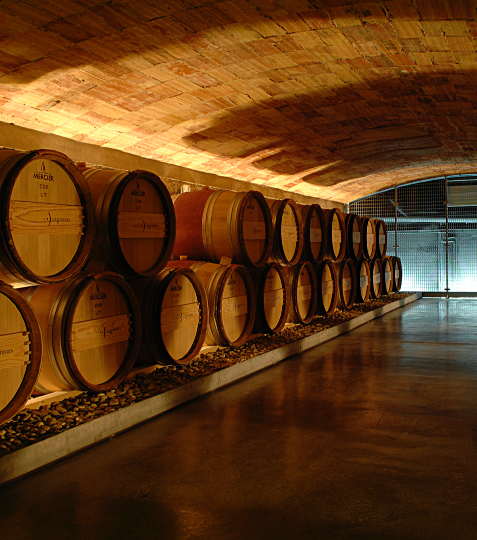 Tarjeta regalo - visita de Lagravera con cata de 4 vinos